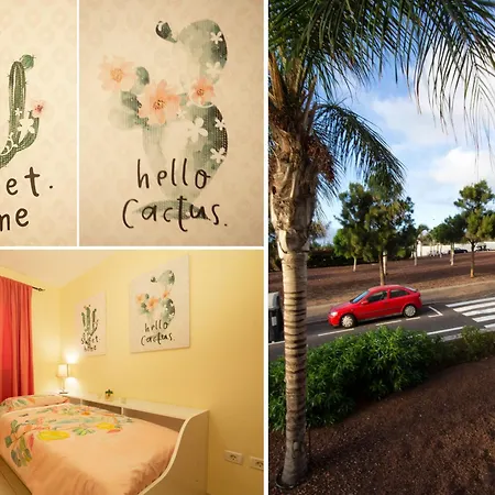 With Terrace And Pool *